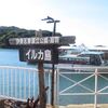 鳥羽湾巡り　楽しいイルカ島（再録）