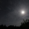 昨夜の月