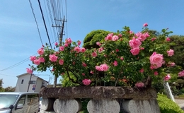 Go to entry