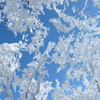 雪の薊岳で新雪と急登に大苦戦(;^ω^)