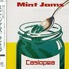 Mint jams/Casiopea