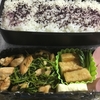 今日のお弁当(12/23)