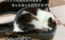 記事を見る