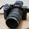 SONY α7Ⅲとそのなかまたち