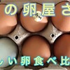 幻の卵屋さんで珍しい卵食べ比べ！