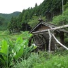 上勝町樫原の棚田を見てきました。行くなら軽四