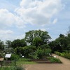 東京都薬用植物園_1(東京都小平市)