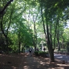新宿御苑以外にもよい公園はたくさんあるんだよ！！！！