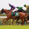 競馬初心者必見☆馬券予想🔥〜ファンタジーS〜今年も大混戦！大外から一気に勝負！