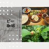 【ビー珈琲】人気のカフェでランチとこだわりの珈琲 / 岐阜