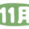 2021年 月次実績　＝11月＝
