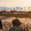 SDGsとは何か！？をわかりやすく簡単にまとめました