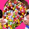 3月26日の動画