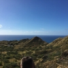 癒しのハワイ　ALOHAの旅 3