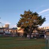 ツーリング明け静養の日。(月曜日、晴れ)