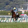 愛馬観戦記　R4-11【アンブロジオ　障害4歳上未勝利】