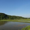 中国に奪われる日本の土地と米、安全な食