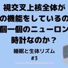 はじまる！はじまる！光を見てはじまる概日リズム『睡眠と生体リズム#3』