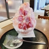 丹波栗菓匠 大福堂（兵庫県丹波篠山市北新町）｜夏季限定の絶品かき氷を堪能！