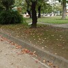 落ち葉の道…