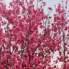 栂池自然園 紅葉 ２０２１年 現在は？