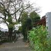 小田原市中村原　広済寺のカキ
