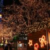 ［季節限定］★ミュンヘン・クリスマス市　ｉｎ　Ｓａｐｐｏｒｏ