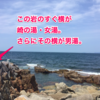 「崎の湯」。白浜で最高の温泉は、荒磯に侵食された岩風呂で、雄大な太平洋に抱かれて沐浴。高濃度の硫黄のトロトロ温泉。白良浜ビーチすぐの絶景すぎる町営温泉!!