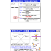 第１回栄養成分表示検討会の資料について