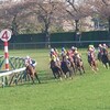 第八十四回皐月賞（GI / 中山競馬場）のこと