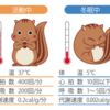 冬眠