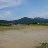 正常性バイアス。