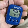 何のための散歩？