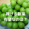 【主婦の副業】稼げて将来有望はオリジナルグッズか、ブログやWEBライター？