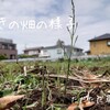 【農業】すずきファーム草刈りをする。