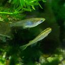 中３ 松江塾ママブログ　古古米の子育て脱線万歳