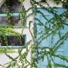 八日市護国の街並みと上芳我邸&大洲リディの素敵スイーツ♪