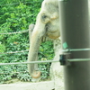 上野動物園は赤ちゃん動物がたくさん！