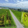 田舎館村の田んぼアート2026「幽霊画」と「りんご娘」