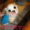 ゼリー大好き！
