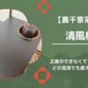 【立礼棚に迷ったら】清風棚がおすすめな理由と選び方のポイント