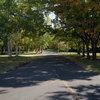 園路