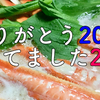 2017年きゃんの日々と2018年やること宣言