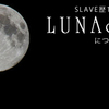 FAN歴19年の私がLUNA SEAの親しみ易さをアピールするよ