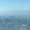東京スカイツリーとプラレールショップ