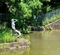 福田１号公園の池（神奈川県大和）