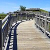 知床五湖・高架木道