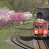 花桃の咲く駅 勝原駅(かどはらえき) 九頭竜線 JR西日本