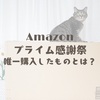 Amazonプライム感謝祭、唯一購入したものとは？
