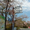 鹿野川園地は花盛り